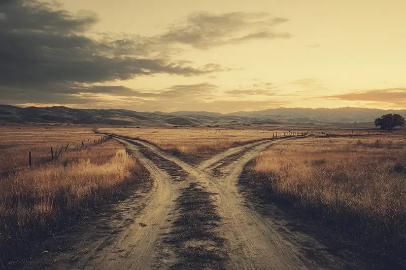 a lone dirt road splits into two at dusk